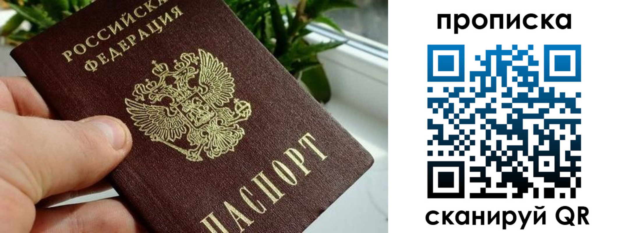 временная прописка в Кропоткине